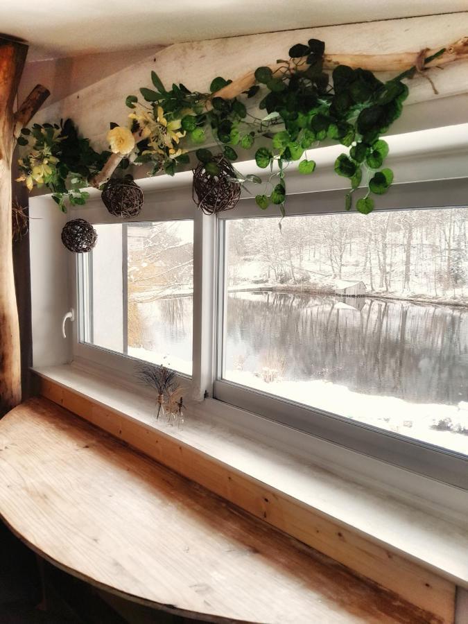 Le Crusoe A L'Etang D'Anty - Appartement Saint-Nabord Zewnętrze zdjęcie