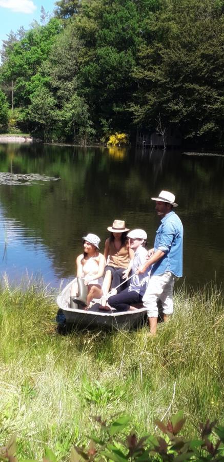 Le Crusoe A L'Etang D'Anty - Appartement Saint-Nabord Zewnętrze zdjęcie