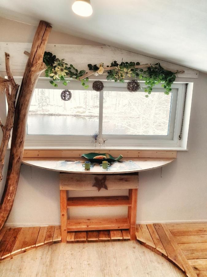 Le Crusoe A L'Etang D'Anty - Appartement Saint-Nabord Zewnętrze zdjęcie