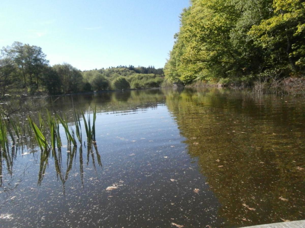 Le Crusoe A L'Etang D'Anty - Appartement Saint-Nabord Zewnętrze zdjęcie
